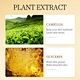 facial mask sheet